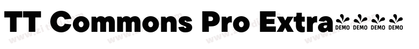 TT Commons Pro Extra字体转换